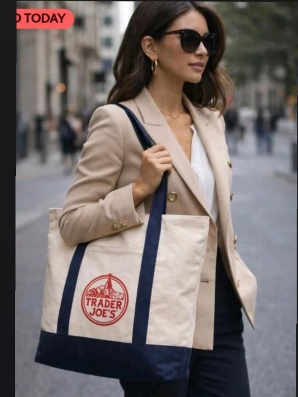 Trader Joe’s Reusable Large Canvas Tote Bag (2), NWT
